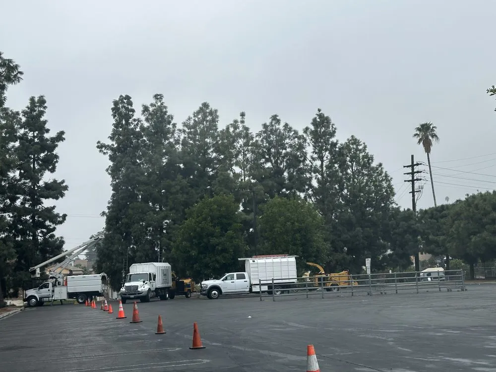 Reliable yard cleanup service experts serving Altadena, CA - Lopez Tree Service