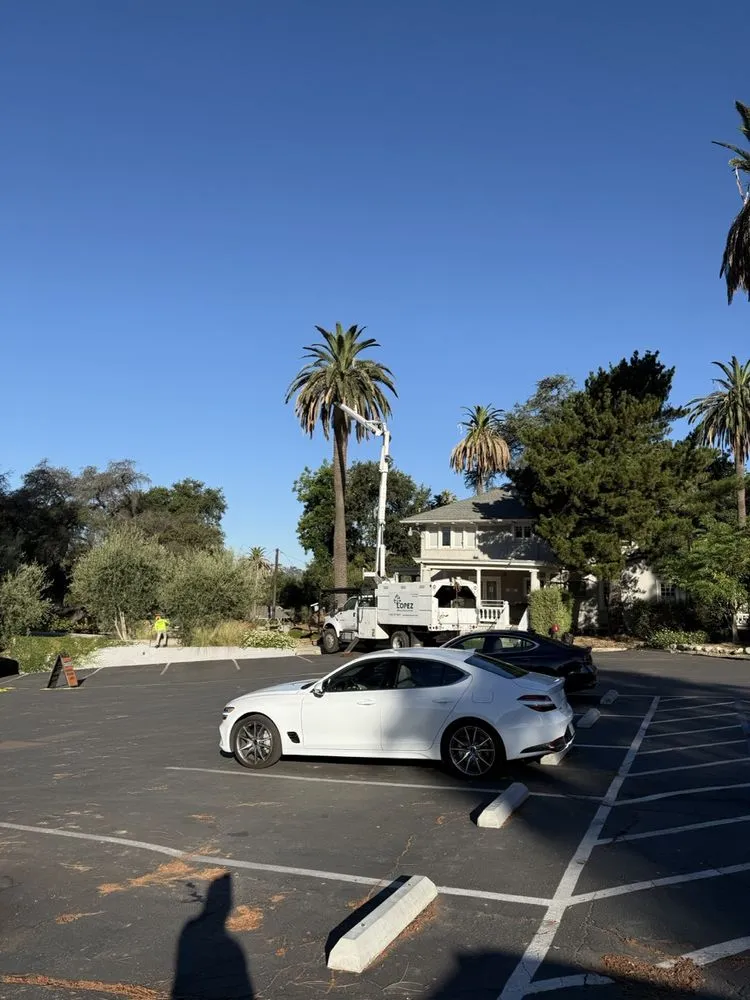 Custom garden landscaping experts serving Altadena, CA - Lopez Tree Service