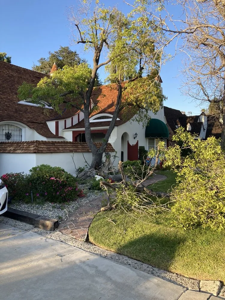 Trusted lawn mowing service experts serving Altadena, CA - Lopez Tree Service