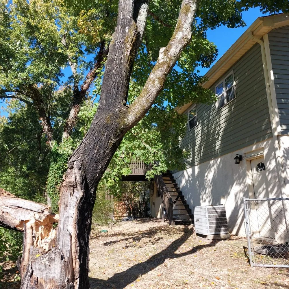 Reliable yard maintenance in Chattanooga, TN by Lopez Tree Service