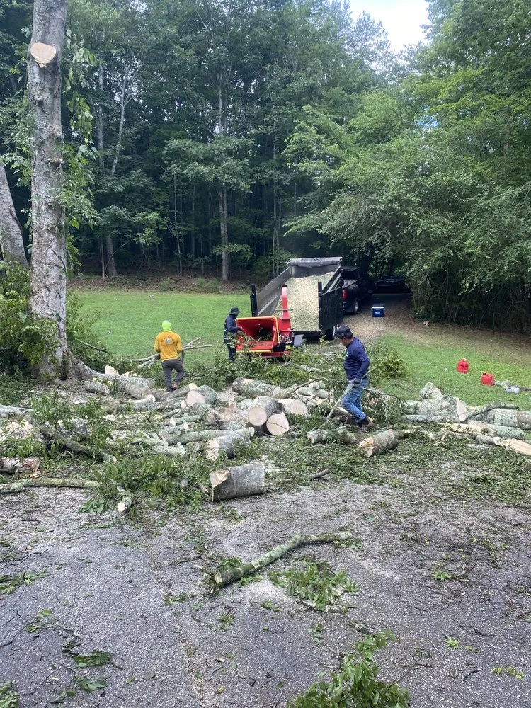 Trusted landscape design for residential properties across Chattanooga, TN - Lopez Tree Service