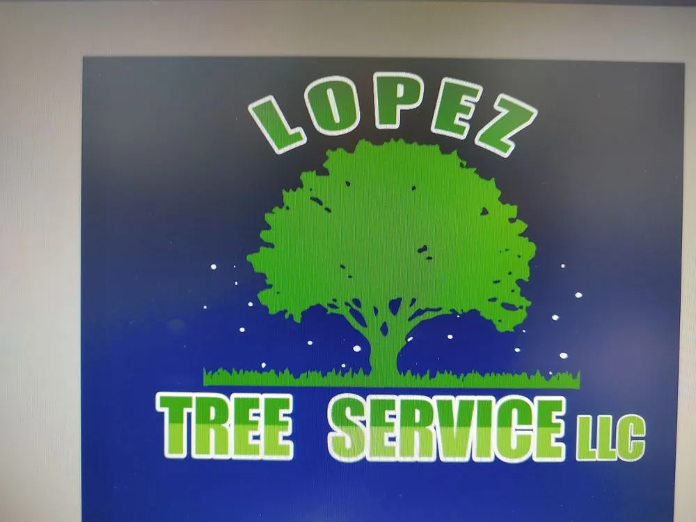 Local landscape design in Chattanooga, TN by Lopez Tree Service