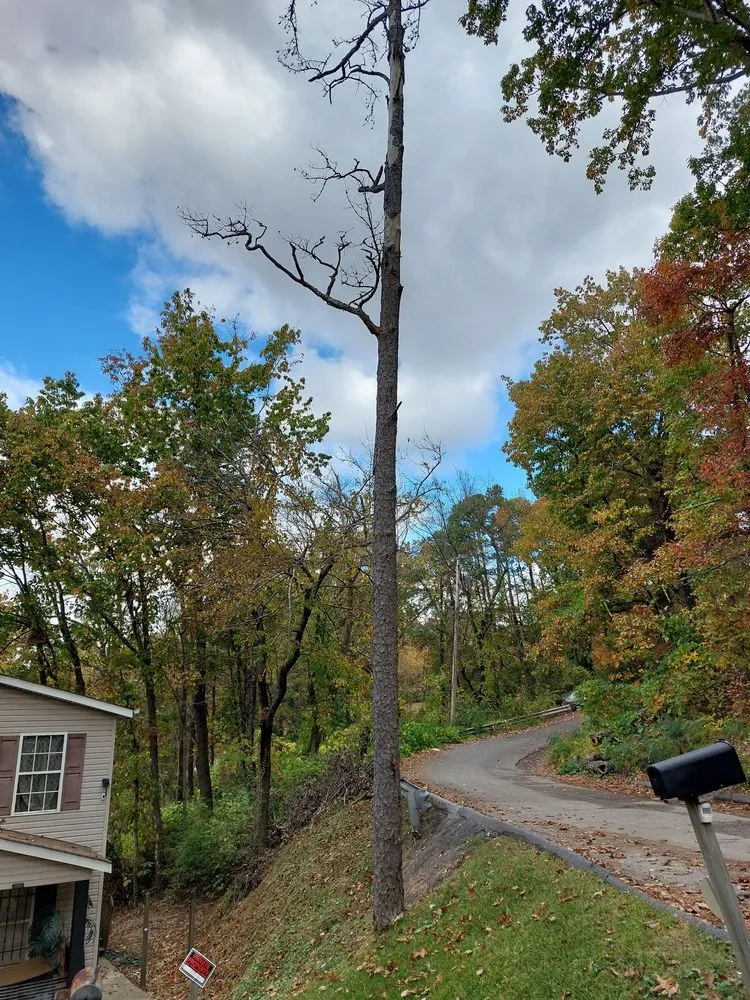 Expert landscape installation for outdoor upgrades in Chattanooga, TN by Lopez Tree Service