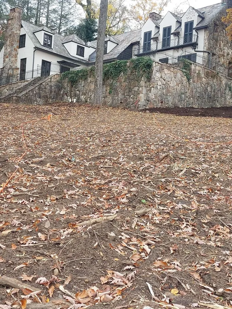 Local landscape design experts serving Chattanooga, TN - Lopez Tree Service