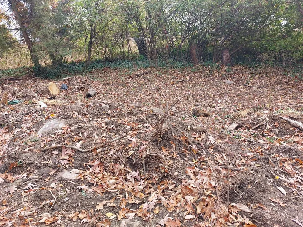 Custom garden landscaping for outdoor upgrades in Chattanooga, TN by Lopez Tree Service