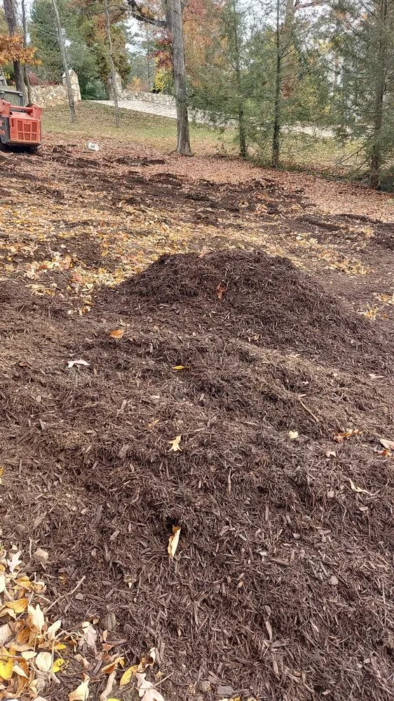 Trusted lawn care service in Chattanooga, TN - Lopez Tree Service