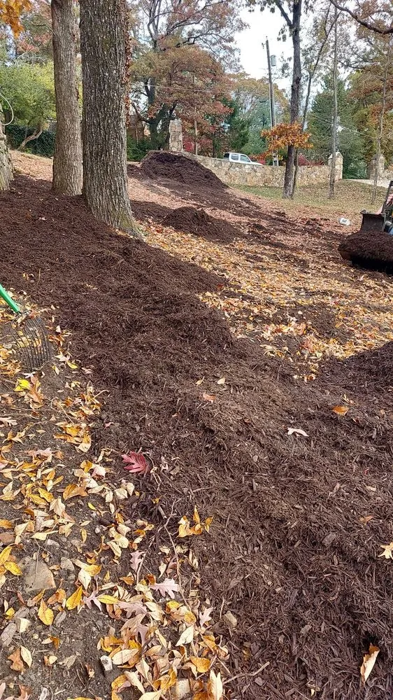 Local outdoor landscaping in Chattanooga, TN - Lopez Tree Service