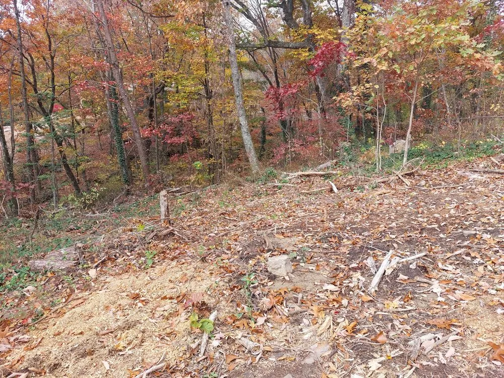 Trusted yard maintenance experts serving Chattanooga, TN - Lopez Tree Service