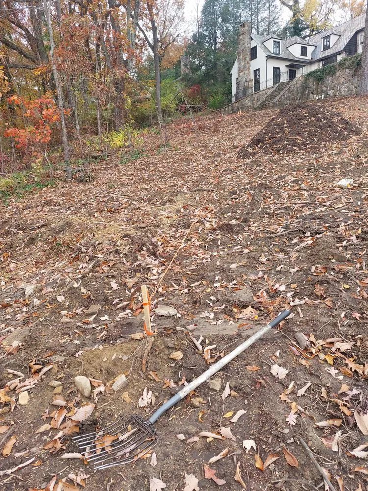 Expert residential landscaping for residential properties across Chattanooga, TN - Lopez Tree Service