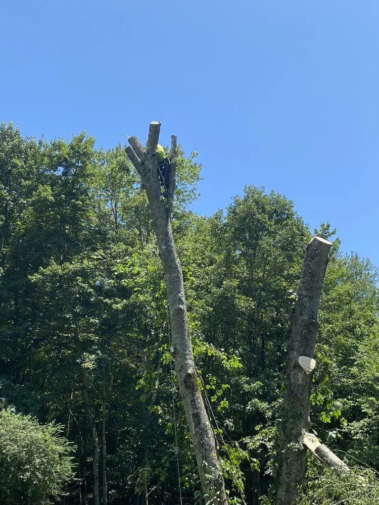 Reliable garden landscaping in Chattanooga, TN by Lopez Tree Service