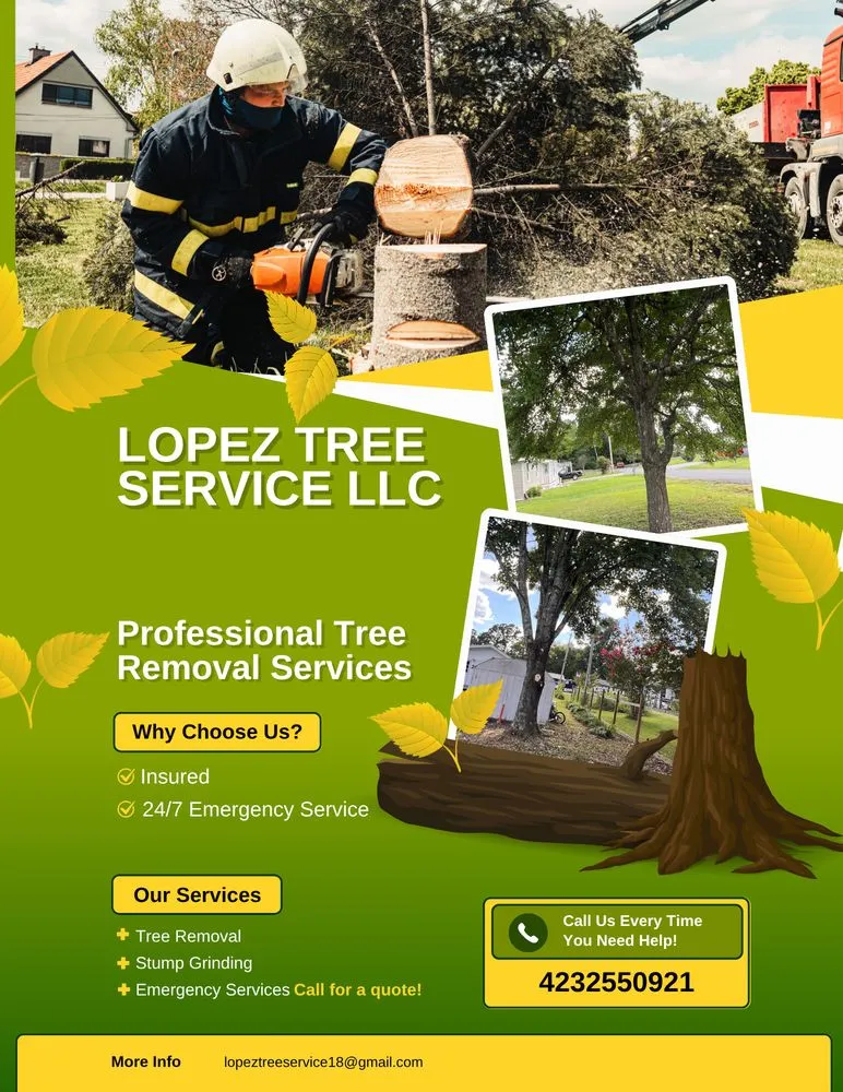 Custom garden landscaping near you across Chattanooga, TN - Lopez Tree Service