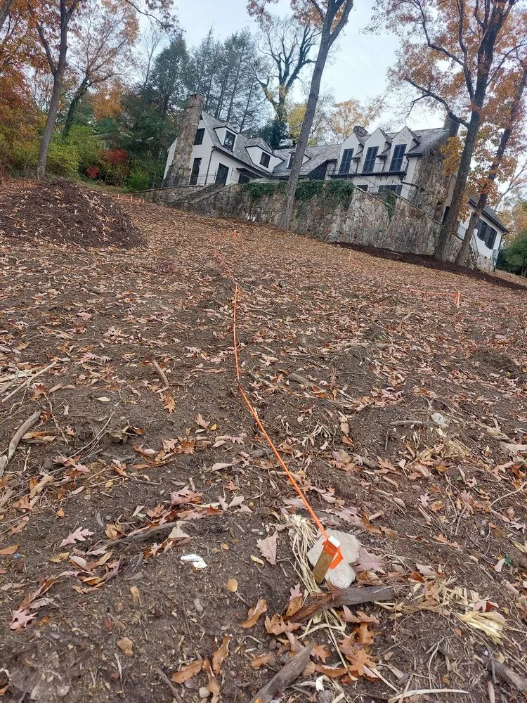 Trusted yard maintenance in Chattanooga, TN - Lopez Tree Service