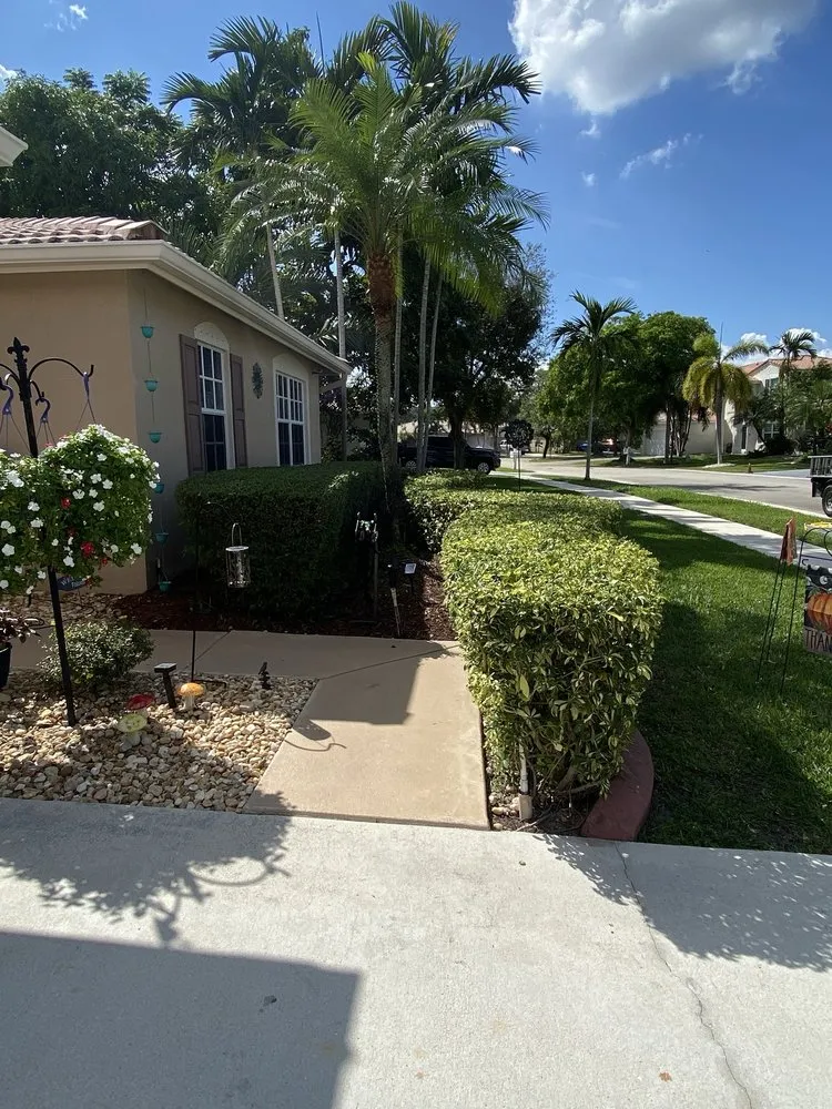 Affordable lawn care service for outdoor upgrades across Hollywood, FL - Lopez Tree Service G Landscaping