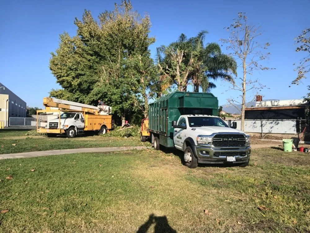 Expert landscape design with custom design across Industry, CA - Lopez Tree Service