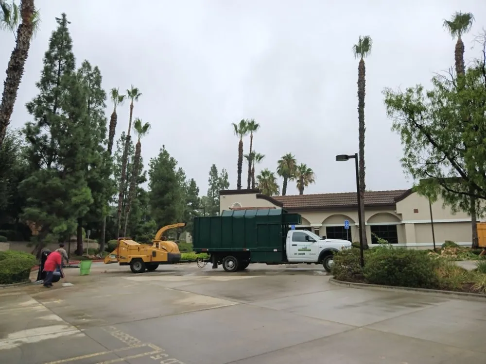 Custom landscape installation near you in Industry, CA by Lopez Tree Service
