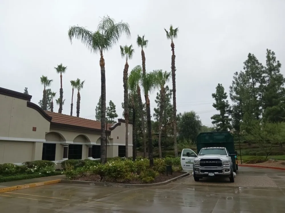 Top-rated outdoor landscaping in Industry, CA by Lopez Tree Service
