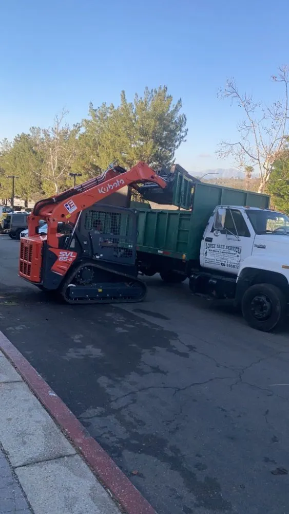 Trusted outdoor landscaping experts serving Industry, CA - Lopez Tree Service