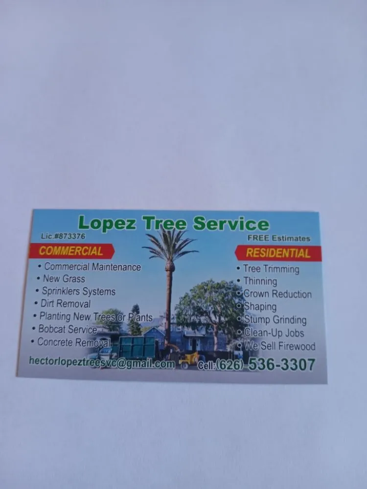 Top-rated yard maintenance for year-round maintenance in Industry, CA by Lopez Tree Service