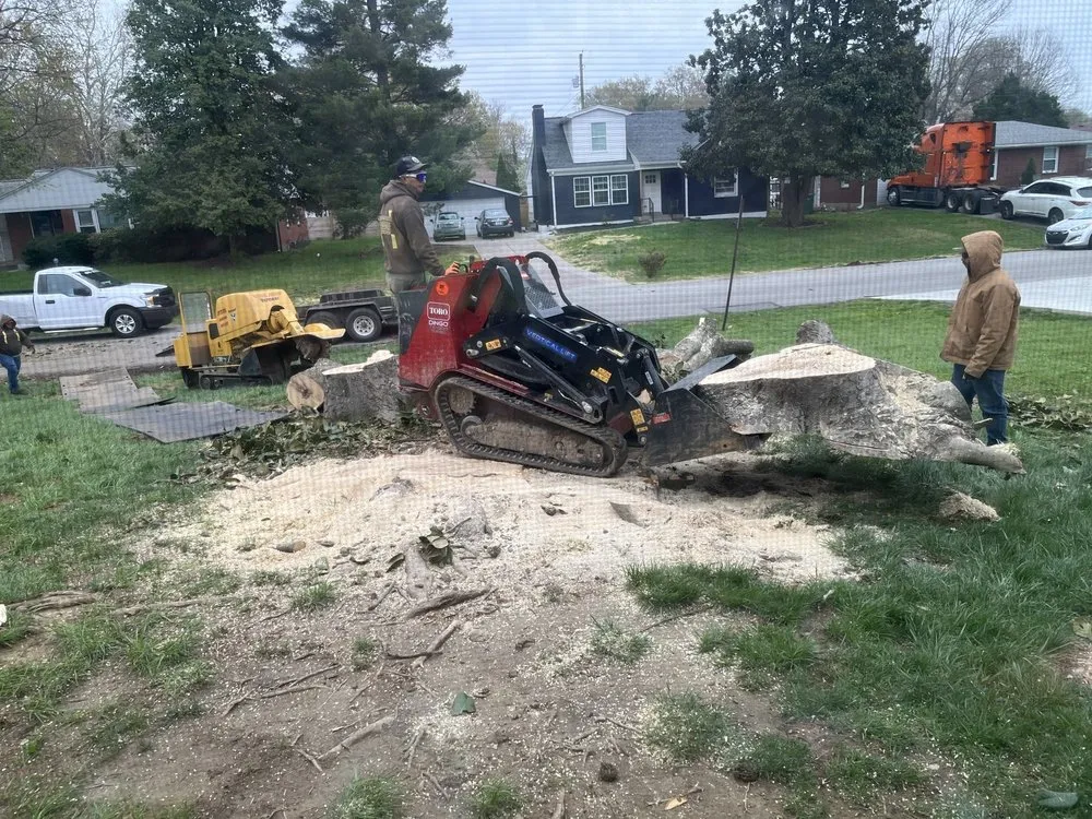 Custom lawn mowing service in Louisville, KY - Lopez Tree Service