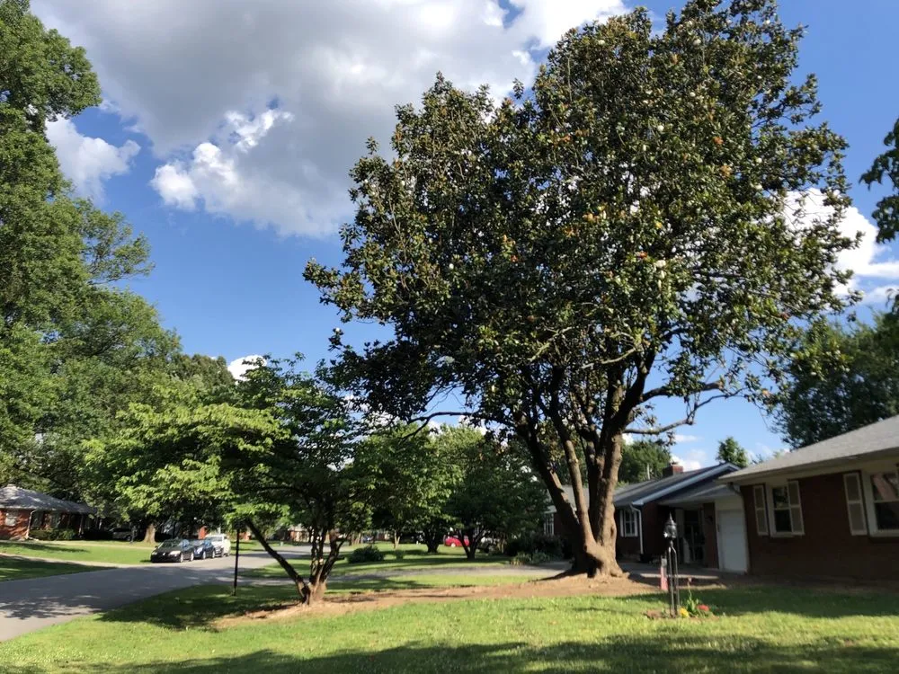 Trusted lawn care service for year-round maintenance across Louisville, KY - Lopez Tree Service