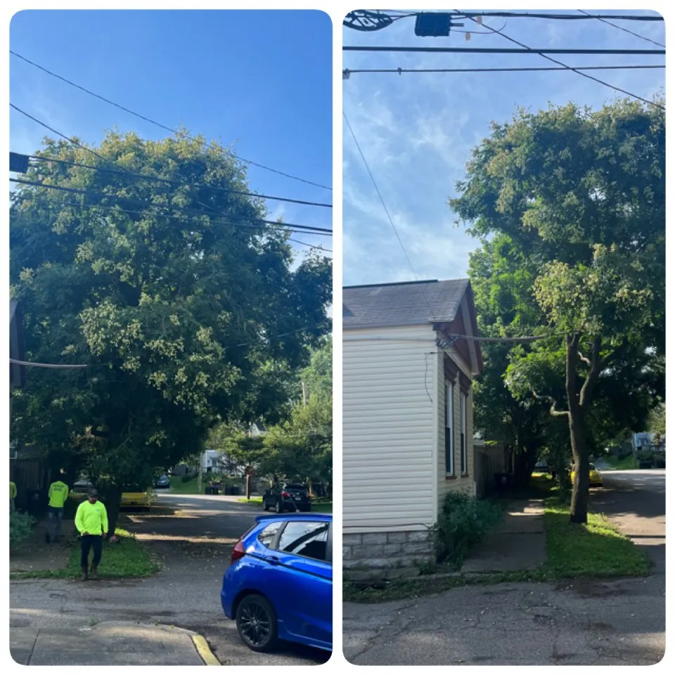 Trusted residential landscaping in Louisville, KY by Lopez Tree Service