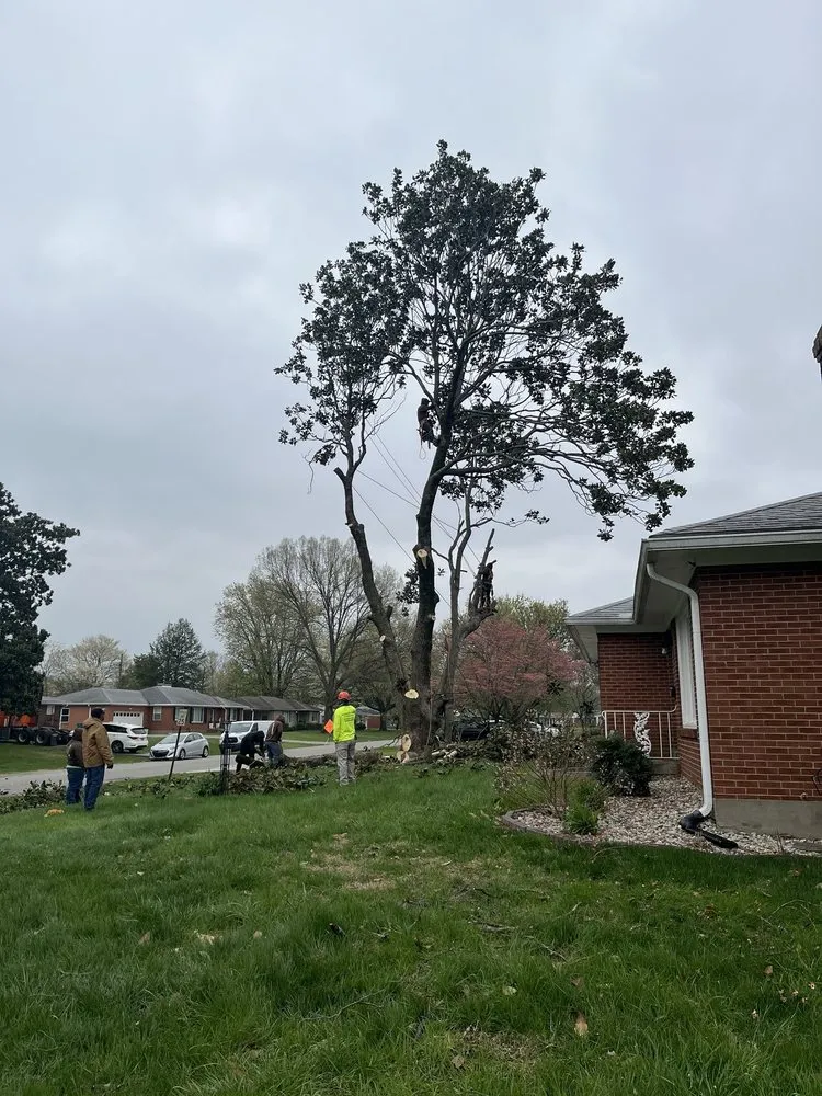 Expert lawn care service experts serving Louisville, KY - Lopez Tree Service