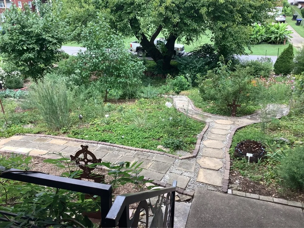 Local yard cleanup service in Louisville, KY - Lopez Tree Service