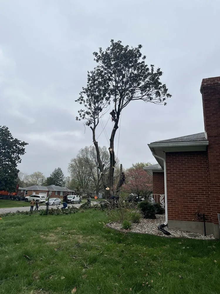 Professional outdoor landscaping in Louisville, KY by Lopez Tree Service