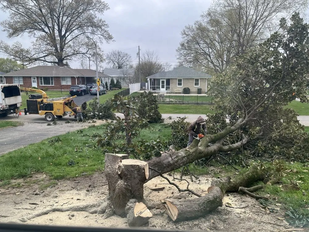 Top-rated landscape installation for beautiful yards across Louisville, KY - Lopez Tree Service