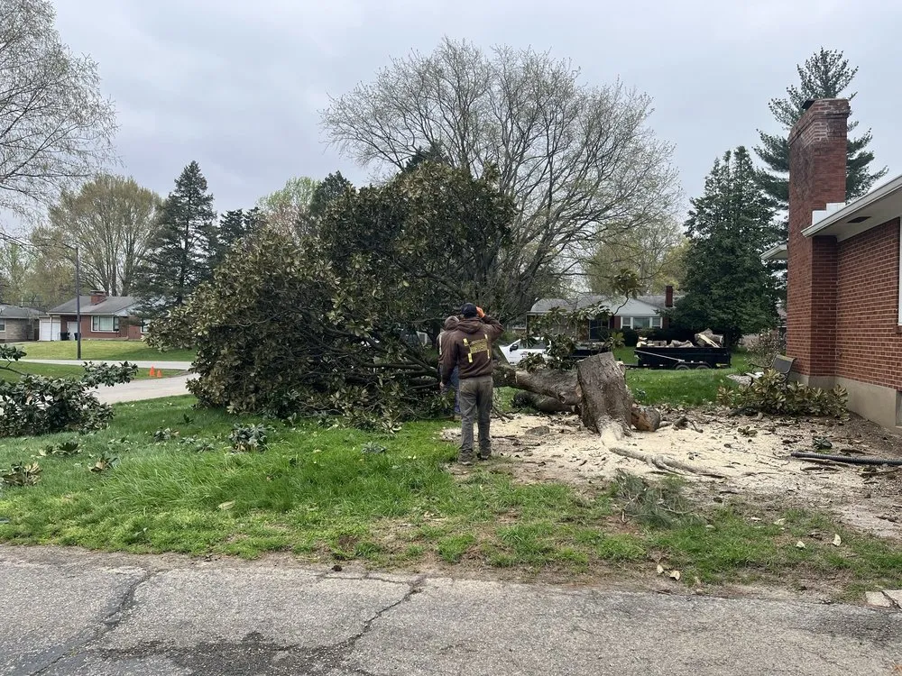 Affordable residential landscaping in Louisville, KY by Lopez Tree Service