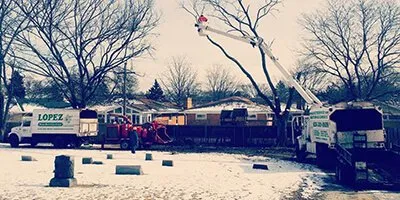Affordable yard cleanup service experts serving Naperville, IL - Lopez Tree Service