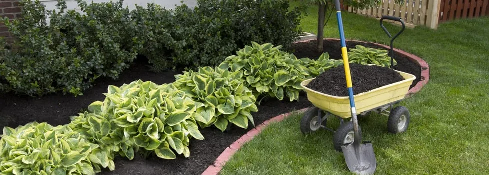 Professional landscape design with custom design in Naperville, IL by Lopez Tree Service