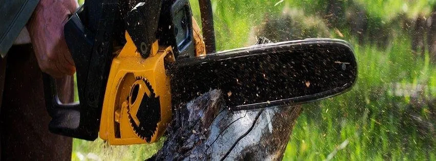 Expert landscape installation experts serving Naperville, IL - Lopez Tree Service