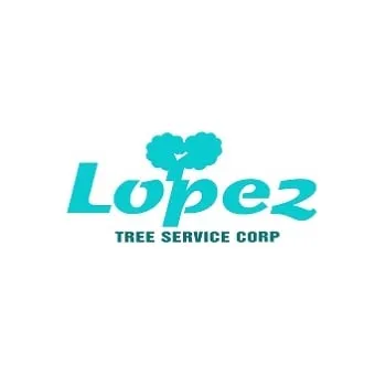 Reliable lawn mowing service in Naperville, IL - Lopez Tree Service
