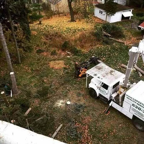 Reliable garden landscaping in Naperville, IL - Lopez Tree Service