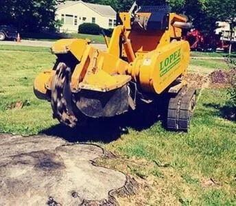 Affordable lawn care service near you across Naperville, IL - Lopez Tree Service
