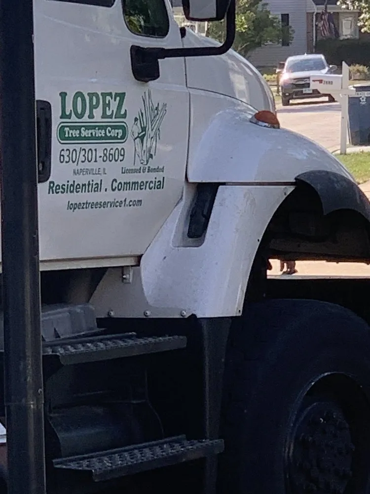 Custom lawn care service experts serving Naperville, IL - Lopez Tree Service