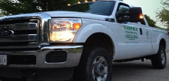 Local residential landscaping for homes across Naperville, IL - Lopez Tree Service