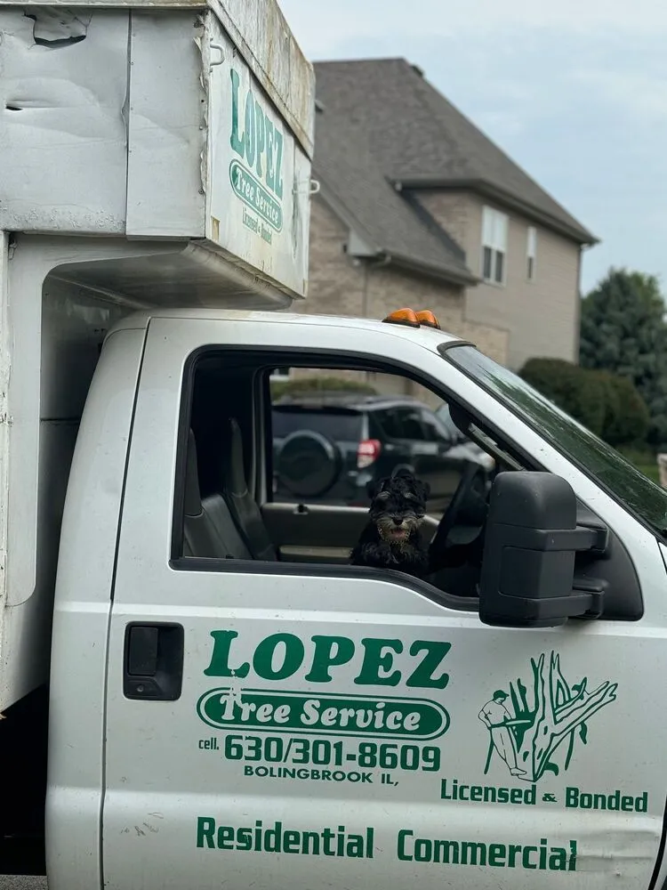Affordable lawn care service with custom design across Naperville, IL - Lopez Tree Service