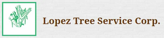 Top-rated residential landscaping in Naperville, IL - Lopez Tree Service