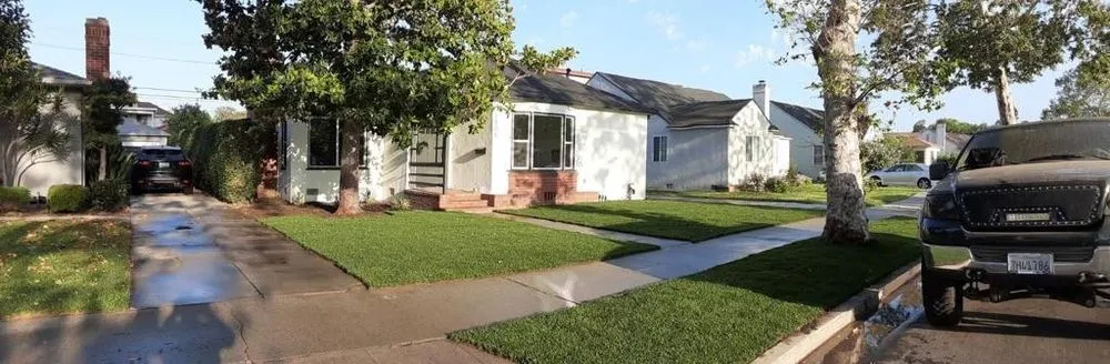 Professional yard maintenance in Paradise, NV - Lopez Tree Service