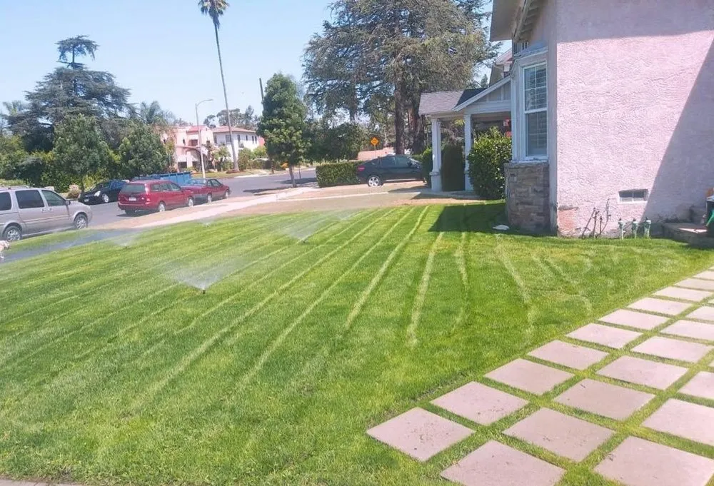 Affordable landscaping services in Paradise, NV by Lopez Tree Service