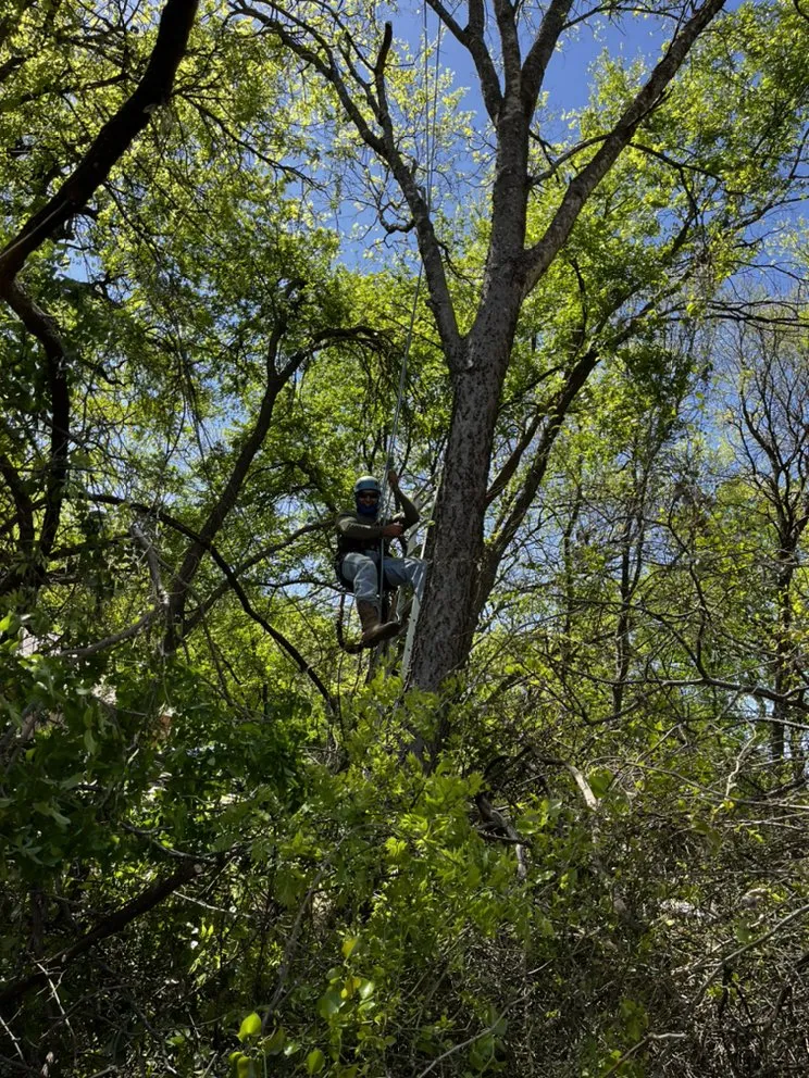 Expert residential landscaping for homes in Waco, TX by Lopez Tree Service