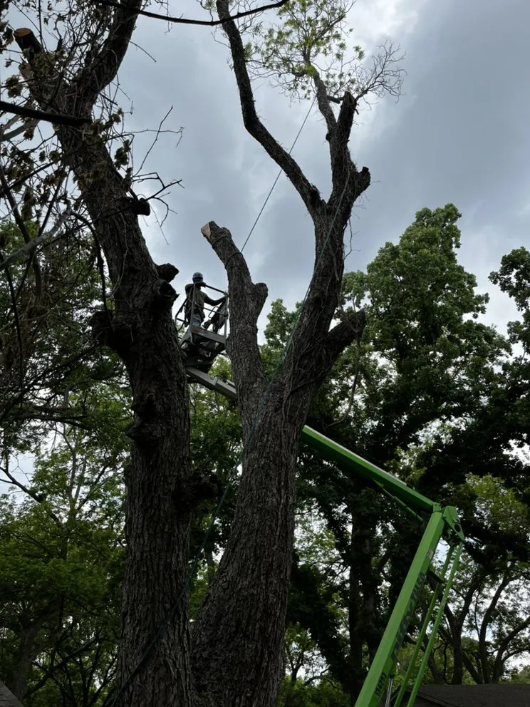 Local lawn mowing service for outdoor upgrades across Waco, TX - Lopez Tree Service