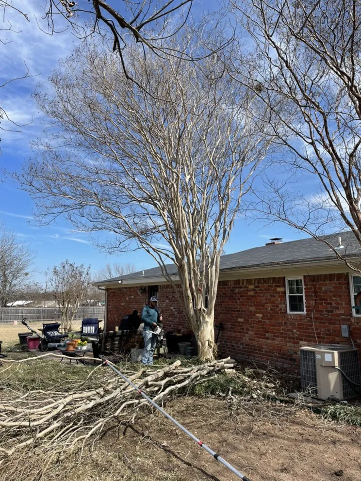 Top-rated landscape installation experts serving Waco, TX - Lopez Tree Service