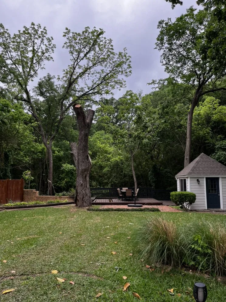 Top-rated yard maintenance experts serving Waco, TX - Lopez Tree Service