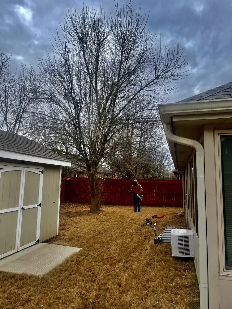 Professional lawn care service near you in Waco, TX by Lopez Tree Service