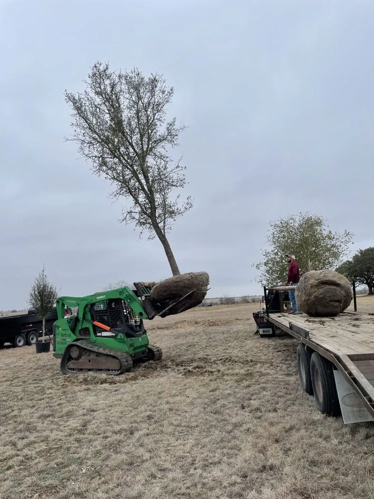 Expert yard cleanup service for residential properties across Waco, TX - Lopez Tree Service