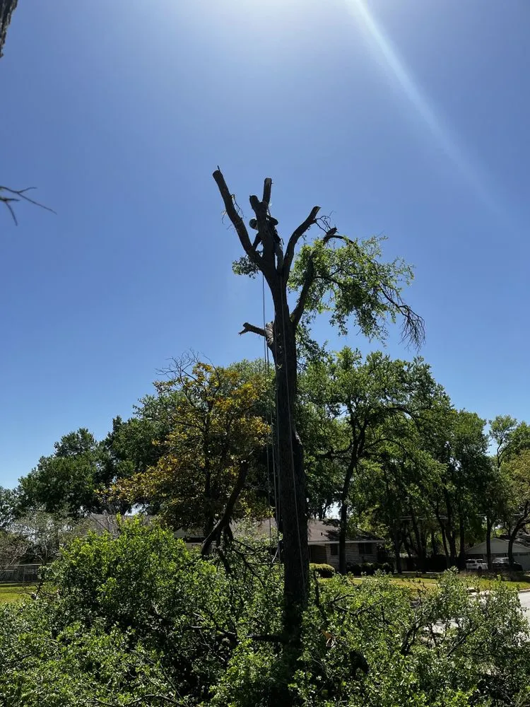 Expert garden landscaping in Waco, TX by Lopez Tree Service