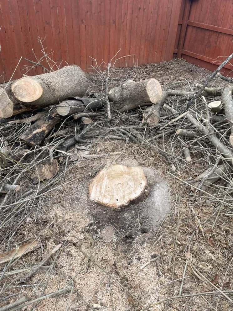 Professional yard cleanup service in Waco, TX - Lopez Tree Service